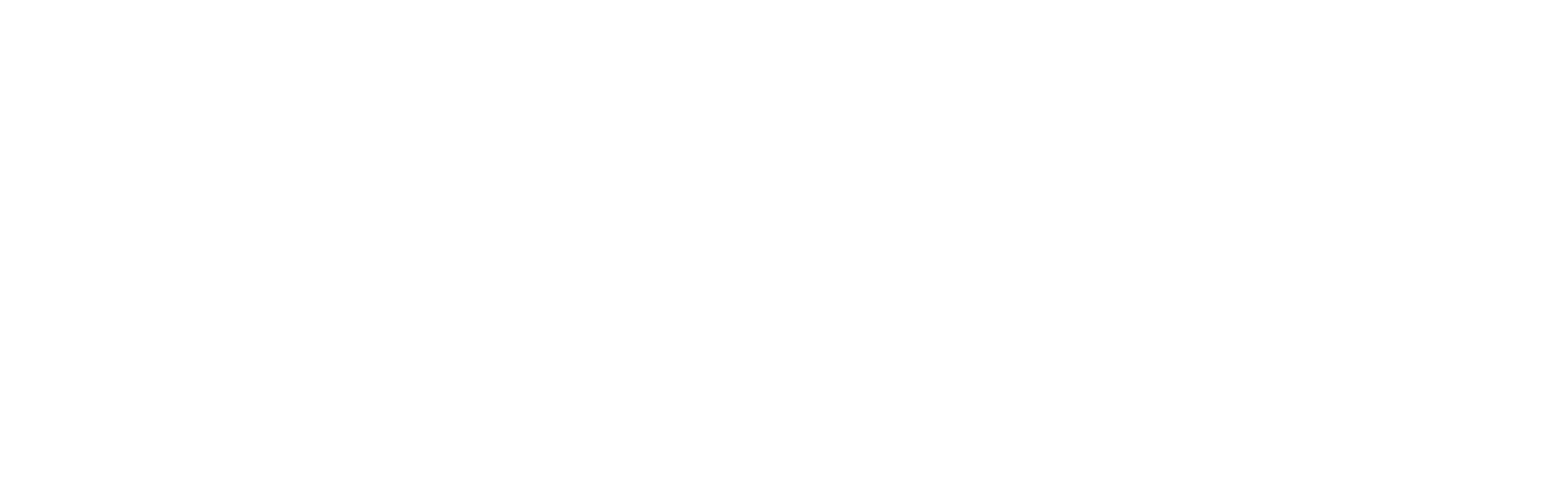 Logo VL Footer